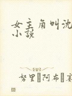 女主角叫沈颜的小说