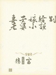 妻子嫁给别人当老婆小说