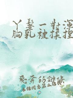 丫鬟一对浑圆的胸乳被揉捏小说