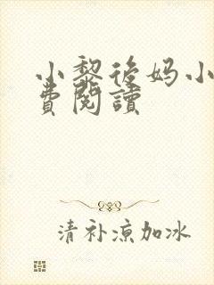 小黎后妈小说免费阅读