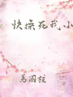 快操死我小说