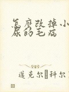 怎么改掉小猫乱尿的毛病