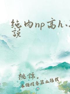 纯肉np高h小说