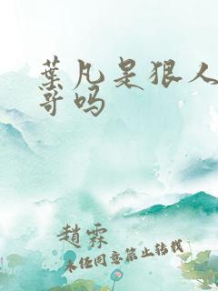 叶凡是狠人的哥哥吗