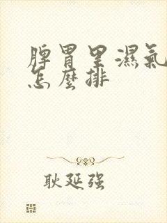 脾胃里湿气太重怎么排