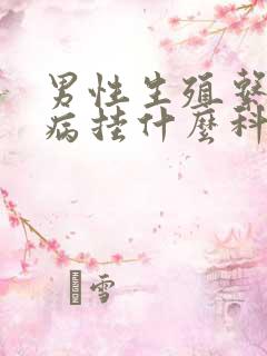 男性生殖系统看病挂什么科