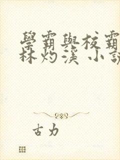 学霸与校霸林优林灼溪 小说