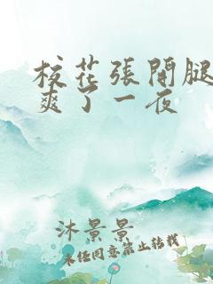 校花张开腿让我爽了一夜