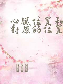 心脏位置和后背对应的位置疼