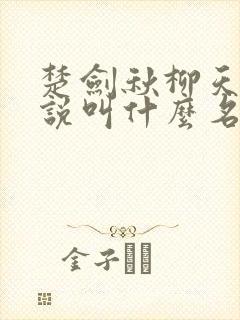 楚剑秋柳天瑶小说叫什么名字