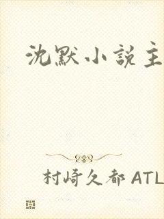 沈默小说主人公