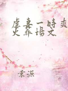 虐妻一时爽追妻火葬场文