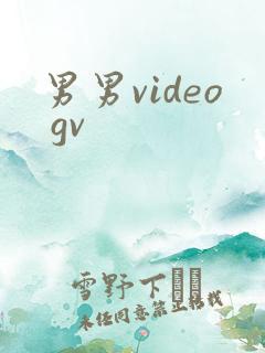 男男video gv