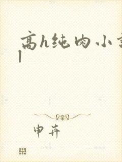高h纯肉小说bl