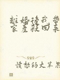 离婚后我带千亿家产杀回来了免费在线阅读