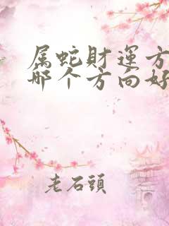 属蛇财运方位在哪个方向好