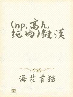 (np,高h,纯肉)糙汉