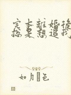 完本离婚后前夫总是想追我