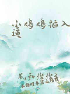 小鸡鸡插入大逼逼