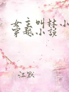 女主叫林小渔的穿越小说