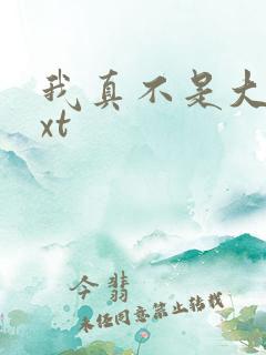 我真不是大佬txt