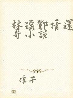 林瑶邓倩还有陈哥小说