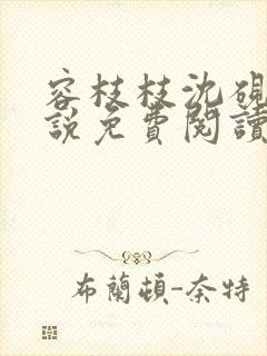 容枝枝沈砚书小说免费阅读无弹窗