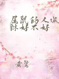 属鼠的人佩戴貔貅好不好