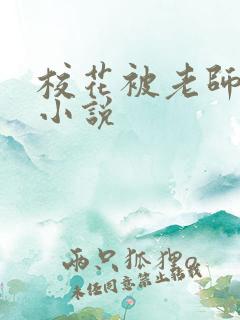 校花被老师调教小说