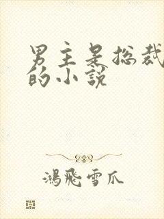 男主是总裁姓沈的小说