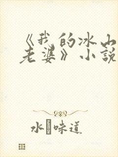 《我的冰山美女老婆》小说
