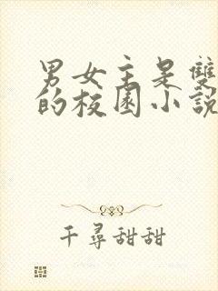 男女主是双校霸的校园小说