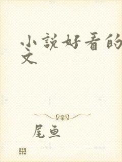 小说好看的甜宠文