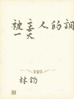 被主人的调教的一天