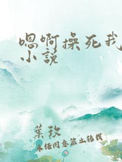 嗯啊操死我好爽小说
