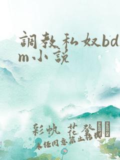 调教私奴bdsm小说