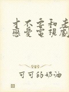 才不要和老板谈恋爱电视剧在线观看