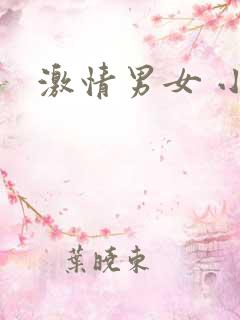 激情男女 小说