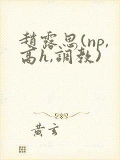 赵露思(np,高h,调教)