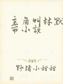 主角叫林默的都市小说