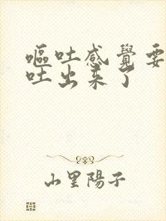 呕吐感觉要把胃吐出来了