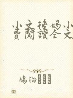 小文后妈小说免费阅读全文最新章节