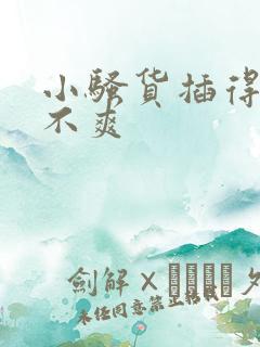 小骚货插得你爽不爽