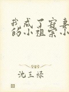 我成了宠妻狂魔的小祖宗小说