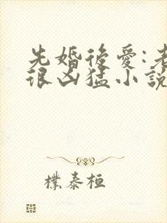 先婚后爱:老公很凶猛小说免费阅