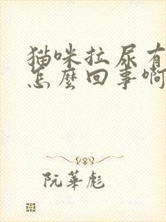 猫咪拉尿有血是怎么回事啊