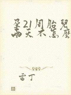 孕21周胎儿这两天不怎么动了