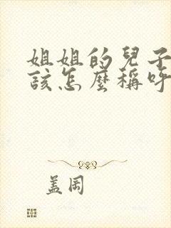 姐姐的儿子我应该怎么称呼