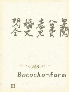 闪婚老公是富豪全文免费阅读 小说