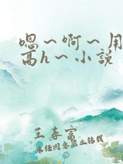 嗯～啊～用力～高h～小说